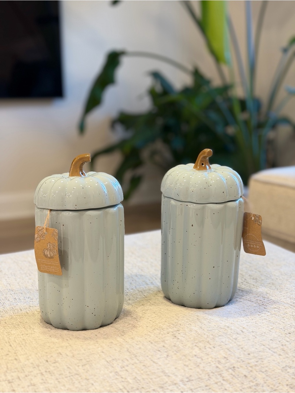 10 Strawberry Street Rare Blue Pumpkin Canisters Set of 2